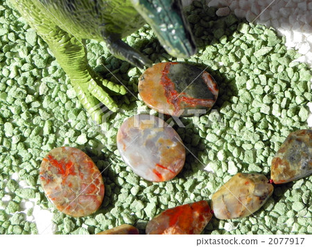 Fossil feces of dinosaurs (coplightite) beads Fossil feces of dinosaurs (coplightite) beads 2077917