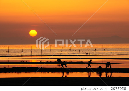 matama coast, mudflat, tideland 2077958