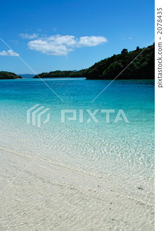 卡瓦希拉灣 2078435