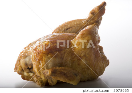 chicken chicken 2078965