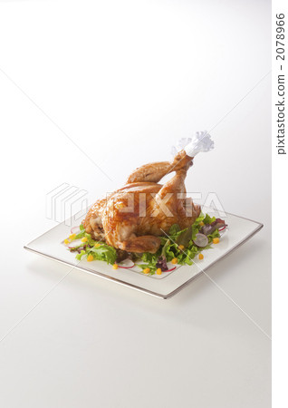 chicken chicken 2078966