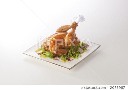 chicken 2078967
