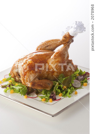 chicken chicken 2078968
