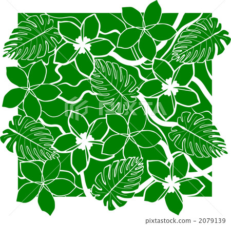 夏威夷的形象 2079139