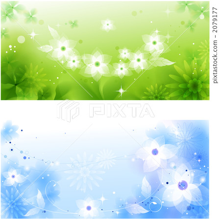 Flower / Nature / Flora and fauna _k _ 562401 2079177