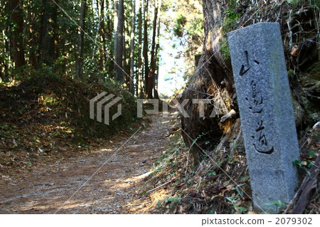 道路繞山路 道路繞山路 2079302