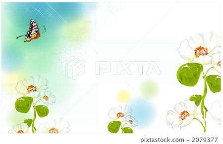 Flower / Nature / Flora and fauna _k _ 643368 2079377