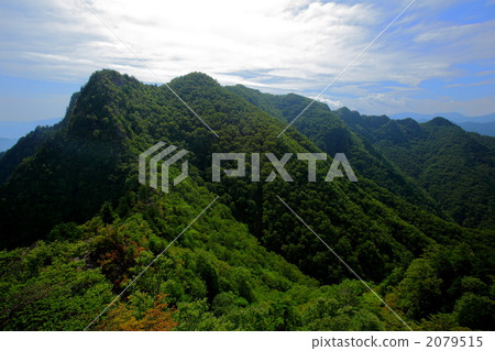 Shin Godama（來自Hatcho Ridge） 2079515