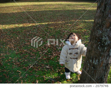 在公園散步 2079746