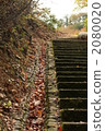 Momiji valley deciduous staircase 2080020