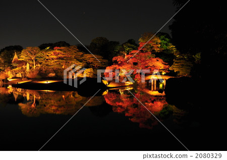 點燈 夜景 燈海 2080329