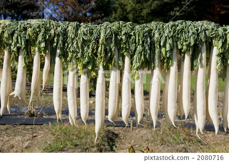 曬乾的太陽 2080716