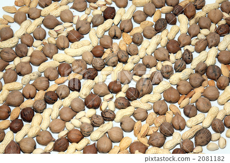 對齊堅果 對齊堅果 2081182