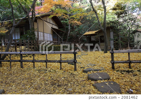 Haruko Goto 2081462