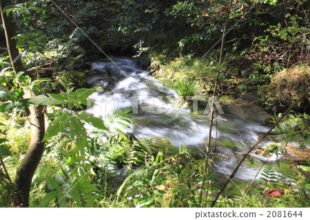 Yamabushi water source Yamabushi water source 2081644