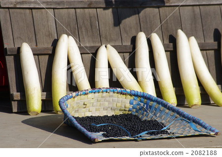 Black bean and radish 2082188