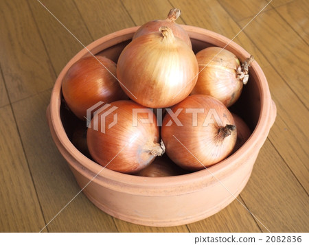 onion  2082836