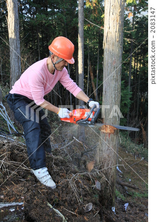 伐木工人 2083147