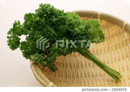 香菜 香菜 2084035