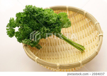 香菜 香菜 2084037