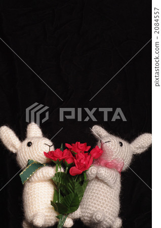 rabbit, black background, ribbon 2084557