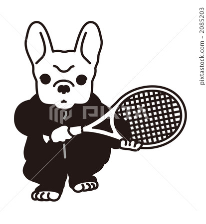 Practice French Bulldog Tennis 2085203