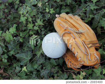 Balls and gloves 2085480
