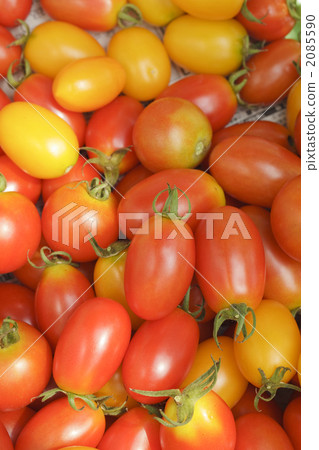 Lots of tomatoes 2085590