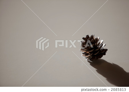 Pinecone Pinecone 2085813