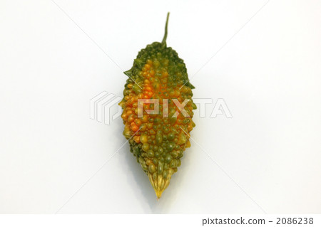bitter melon, bitter, bitter gourd 2086238