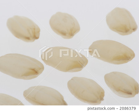 germinated brown rice, grain, sprout 2086379
