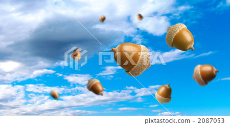 Multiple Acorn blue sky compositing falling 2087053
