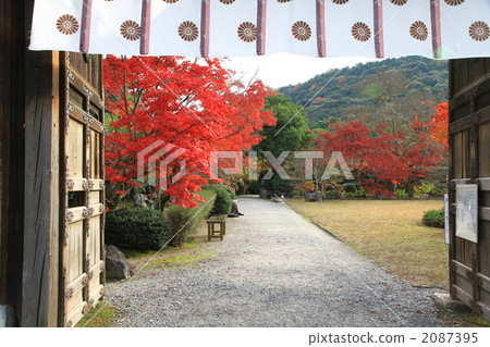 京都餃子 2087395