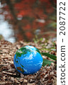 The surface of autumnal leaves and the earth a 2087722