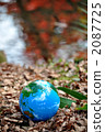 The surface of autumnal leaves and the earth b 2087725