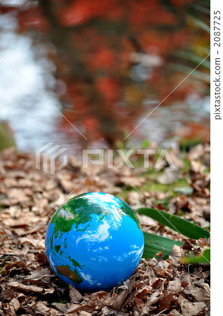 The surface of autumnal leaves and the earth b The surface of autumnal leaves and the earth b 2087725