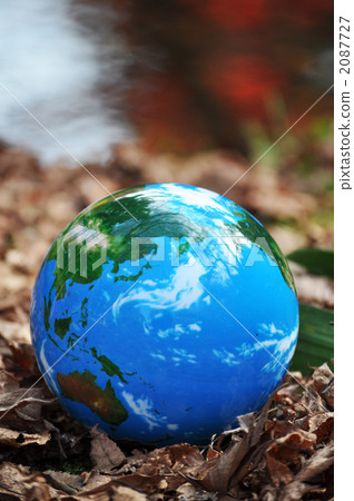 The surface of autumnal leaves and the earth c The surface of autumnal leaves and the earth c 2087727