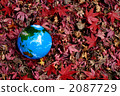 Autumn leaves and the earth a 2087729