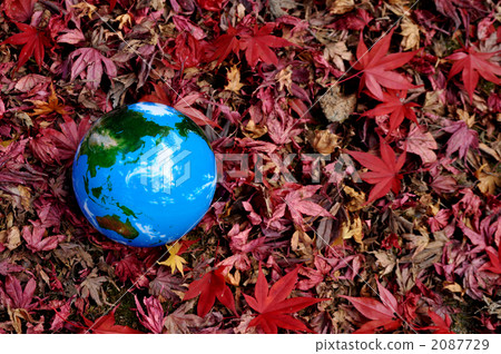 Autumn leaves and the earth a 2087729