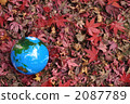 Autumn leaves and the earth b 2087789