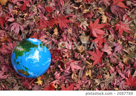 Autumn leaves and the earth b 2087789