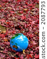 Autumn leaves and earth d 2087793