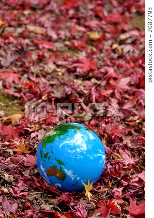 Autumn leaves and earth d Autumn leaves and earth d 2087793