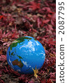 Autumn leaves and the earth e 2087795
