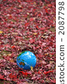 Autumn leaves and the earth f 2087798
