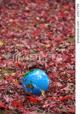 Autumn leaves and the earth f 2087798