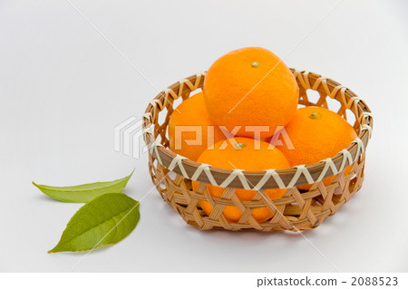 Mandarin orange Mandarin orange 2088523