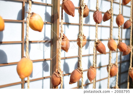 柿餅乾1 柿餅乾1 2088795