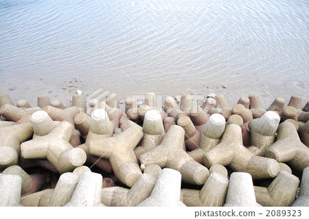 Tetrapod Tetrapod 2089323