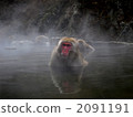 Jigokudani hot spring 2091191